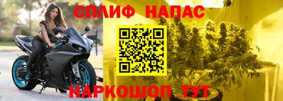 СК Беслан