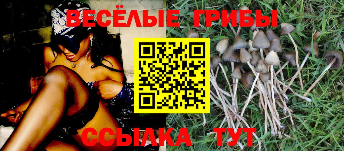 Галлюциногенные грибы мухоморы  Псилоцибиновые грибы GOLDEN TEACHER  Качканар  Вход с VPN 
